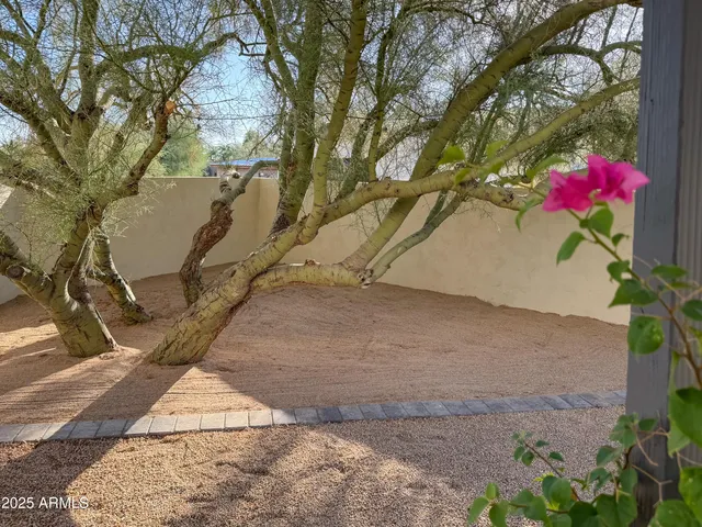 a view of a backyard