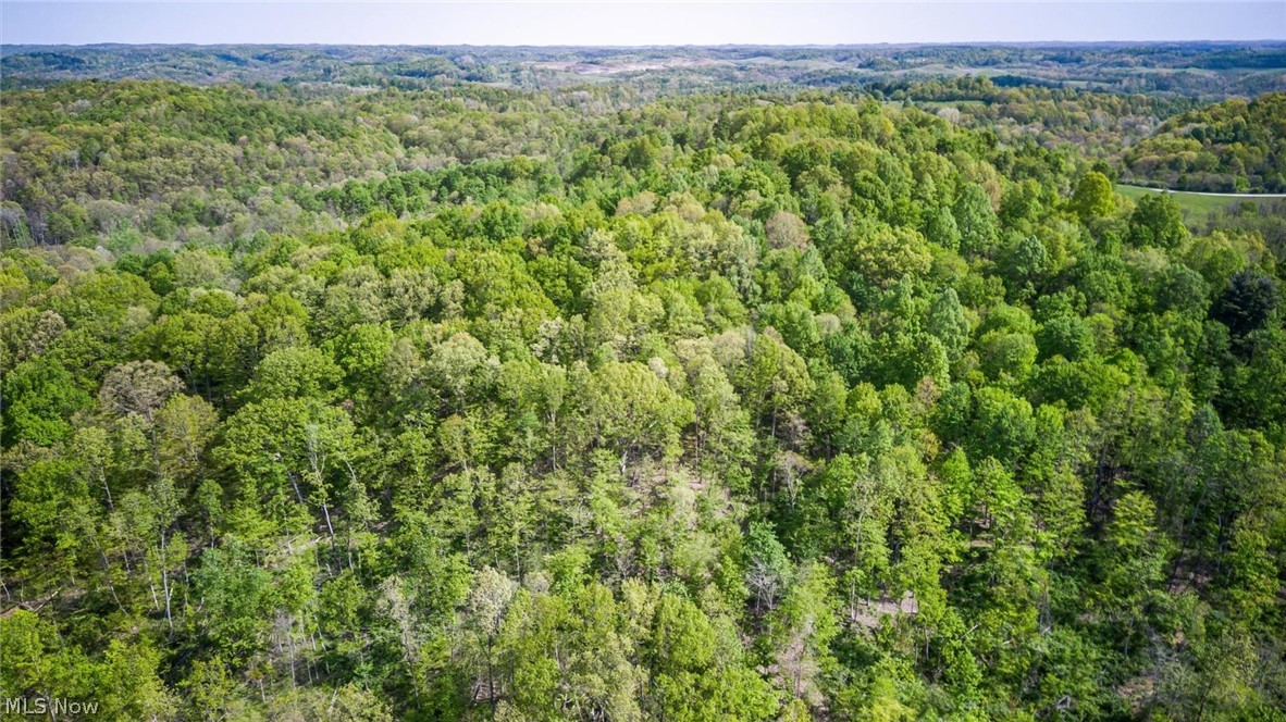 38975 Ogles Ridge Road Dexter City, OH 45727 - Photo 42 of 42