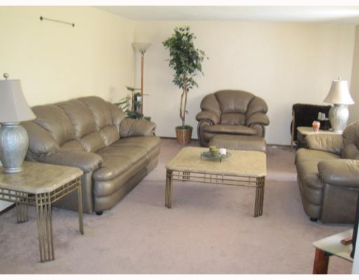 124.5 Miller Road Pittsburgh, PA 15237 - Photo 4 of 14 Living Room. Large picture window and neutral paint