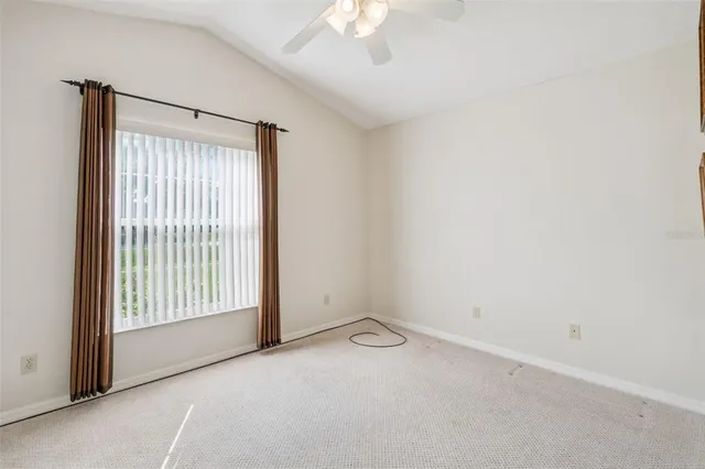 a view of a park with a tree