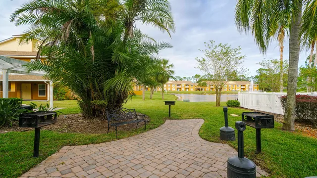 a view of a garden with plants and palm trees