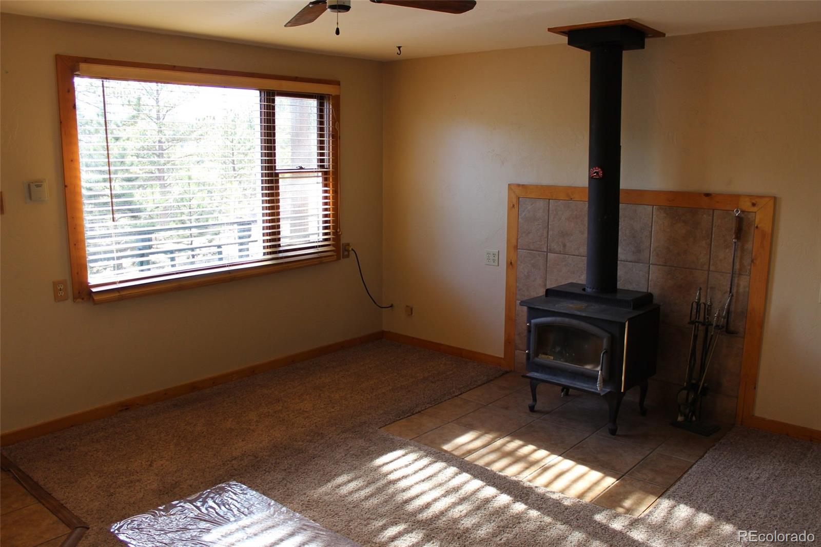 110 Buffum Street Bailey, CO 80421 - Photo 5 of 13