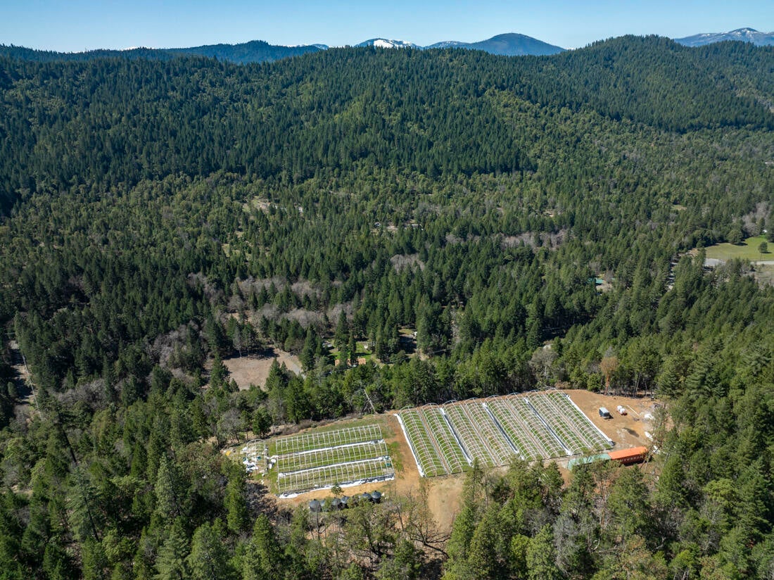 550 Terrace Heights Road Selma, OR 97538 - Photo 12 of 26 DJI_0010