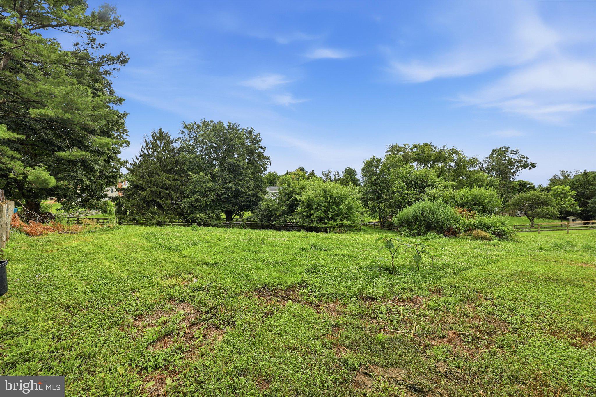 11703 Fingerboard Road Monrovia, MD 21770 - Photo 30 of 46 Backyard