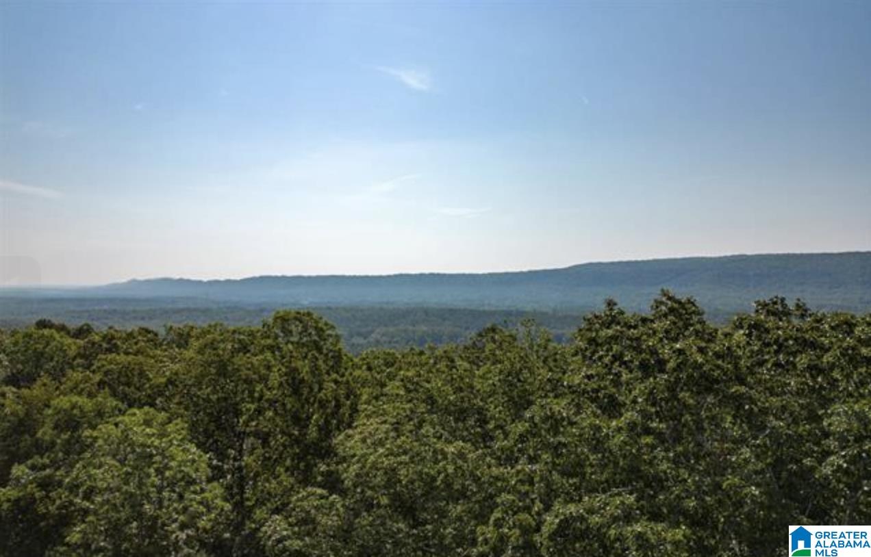 3459 Springstone Trail, Unit LOT 2 Leeds, AL 35094 - Photo 20 of 21 Gallery Image 20