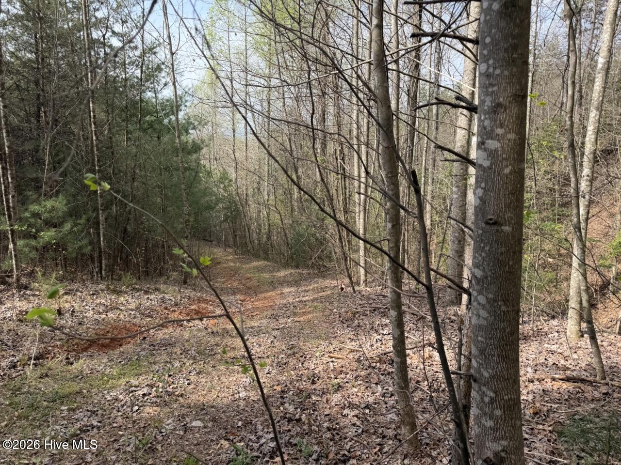 0 Ogreeta Road Murphy, NC 28906 - Photo 27 of 47