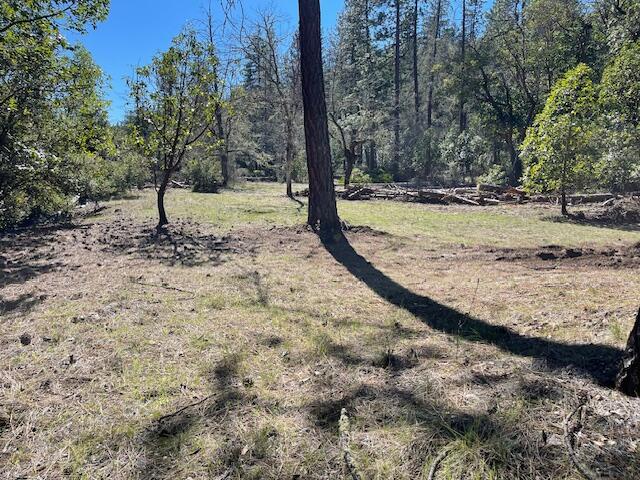 Kinney Cr Road, Unit 400 Jacksonville, OR 97530 - Photo 7 of 15