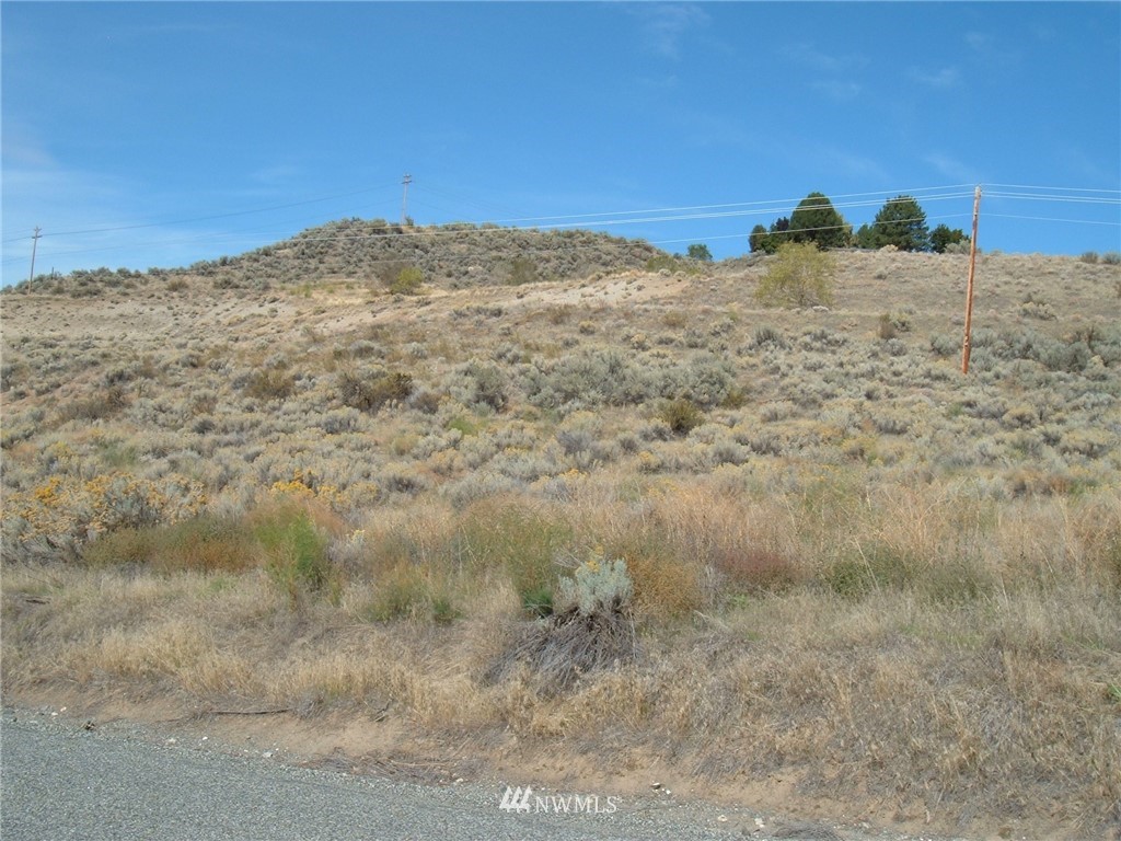 13 Copple Road Omak, WA 98841 - Photo 3 of 7