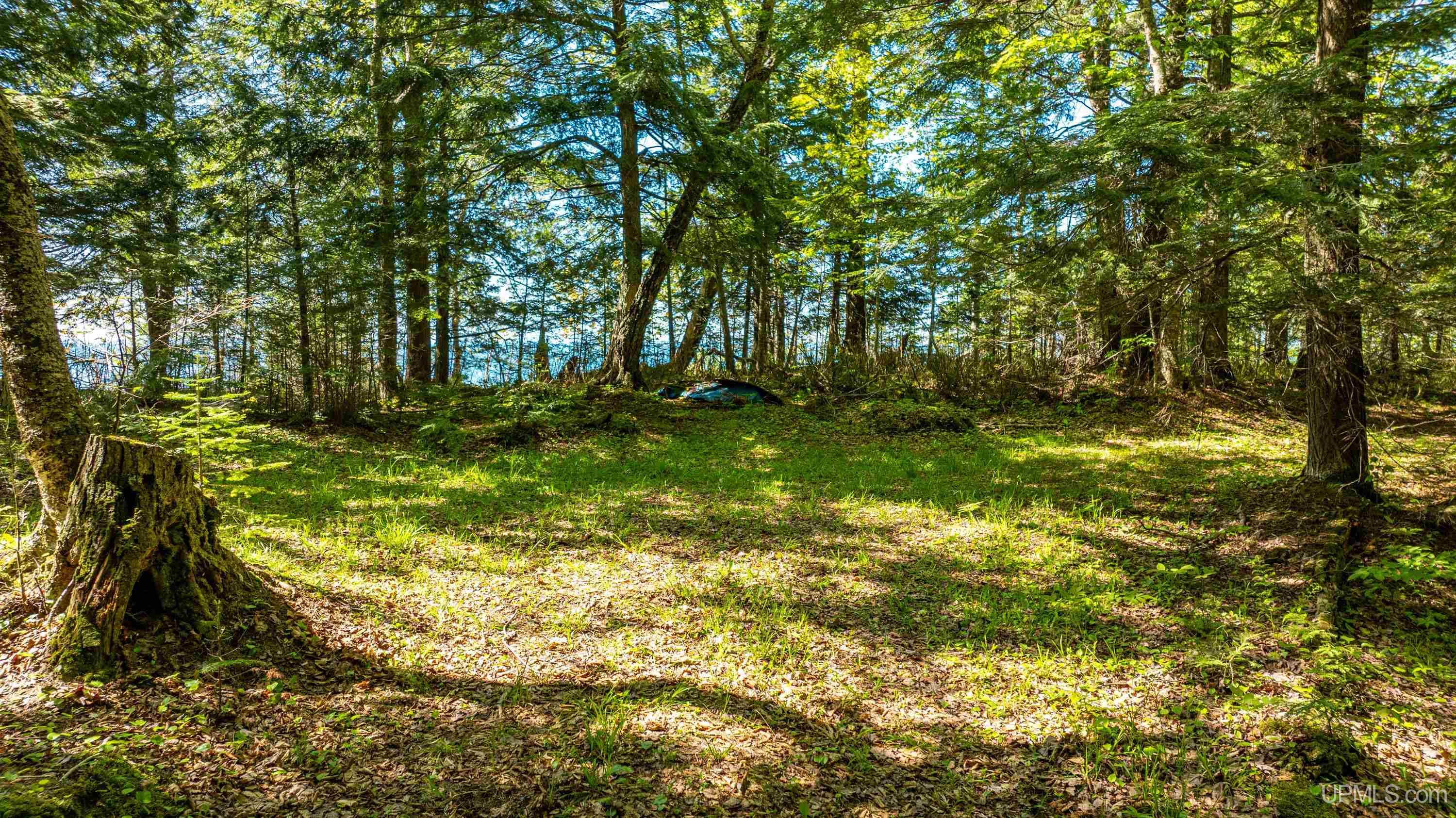 47739 Lots Road Toivola, MI 49965 - Photo 54 of 65 Gallery Image 54