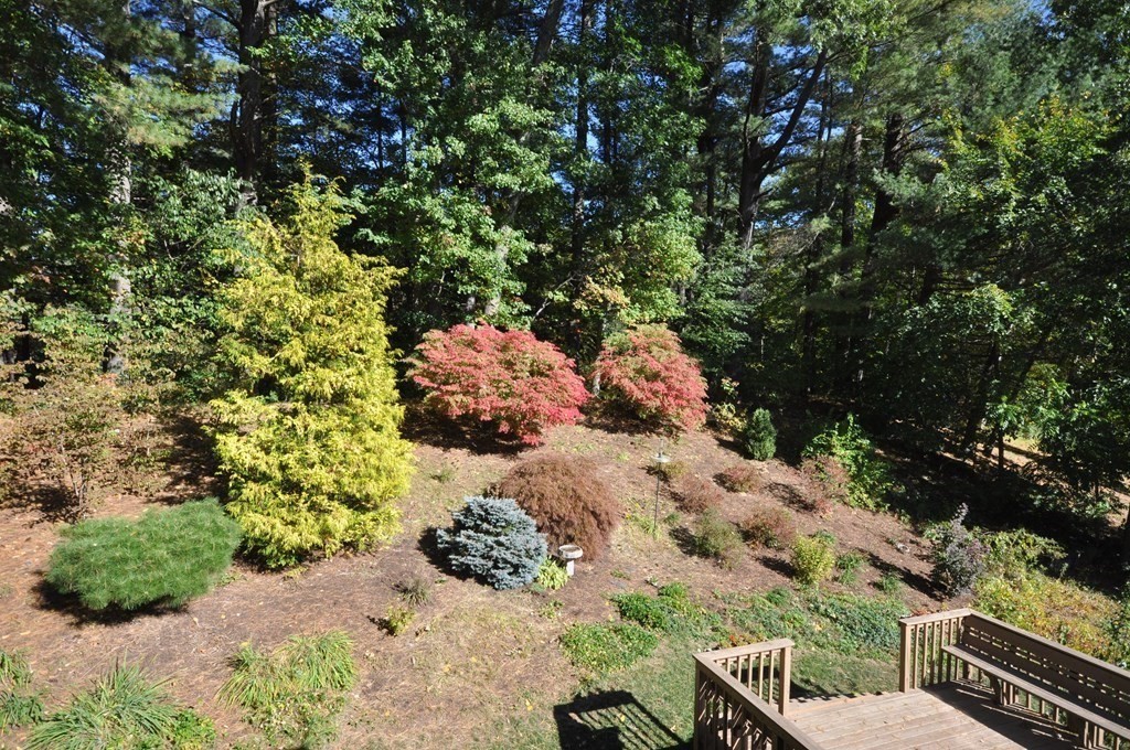 83 Alden Road Concord, MA 01742 - Photo 26 of 27 Gallery Image 26