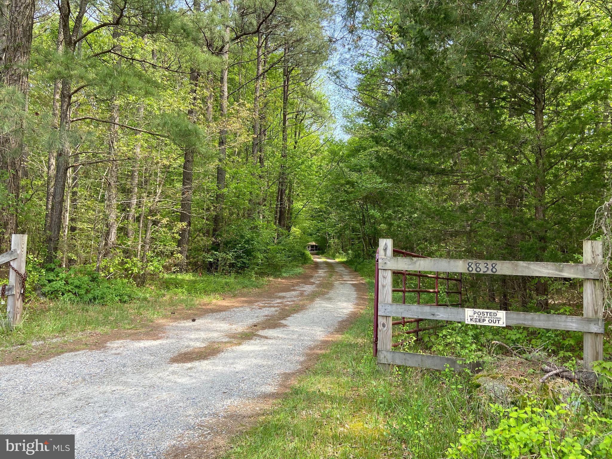 8838 Logtown Road Berlin, MD 21811 - Photo 4 of 4 Secluded Entry