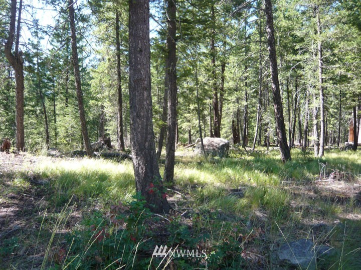 34 Harris Road Mazama, WA 98833 - Photo 1 of 1 Gallery Image 1