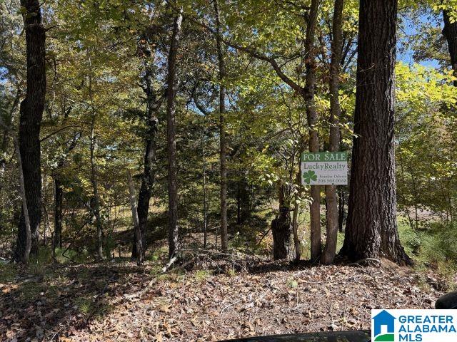 655 Buddy Vines Camp Road, Unit 1 Bessemer, AL 35023 - Photo 4 of 9
