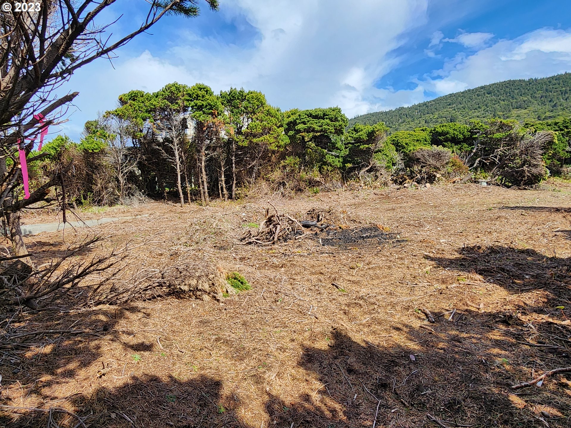 Nesika Road, Unit 701 Gold Beach, OR 97444 - Photo 9 of 11 a view of a dry yard with trees