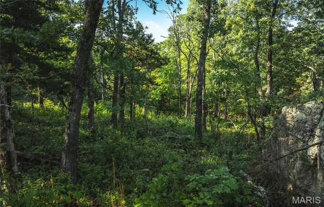 $83,600 | 0 Highway B 38 Ellington Mo 63638, Centerville, MO 63633