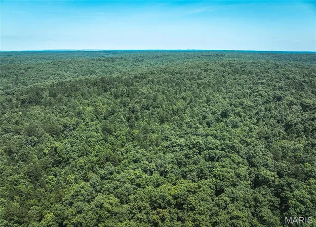 $83,600 | 0 Highway B 38 Ellington Mo 63638, Centerville, MO 63633