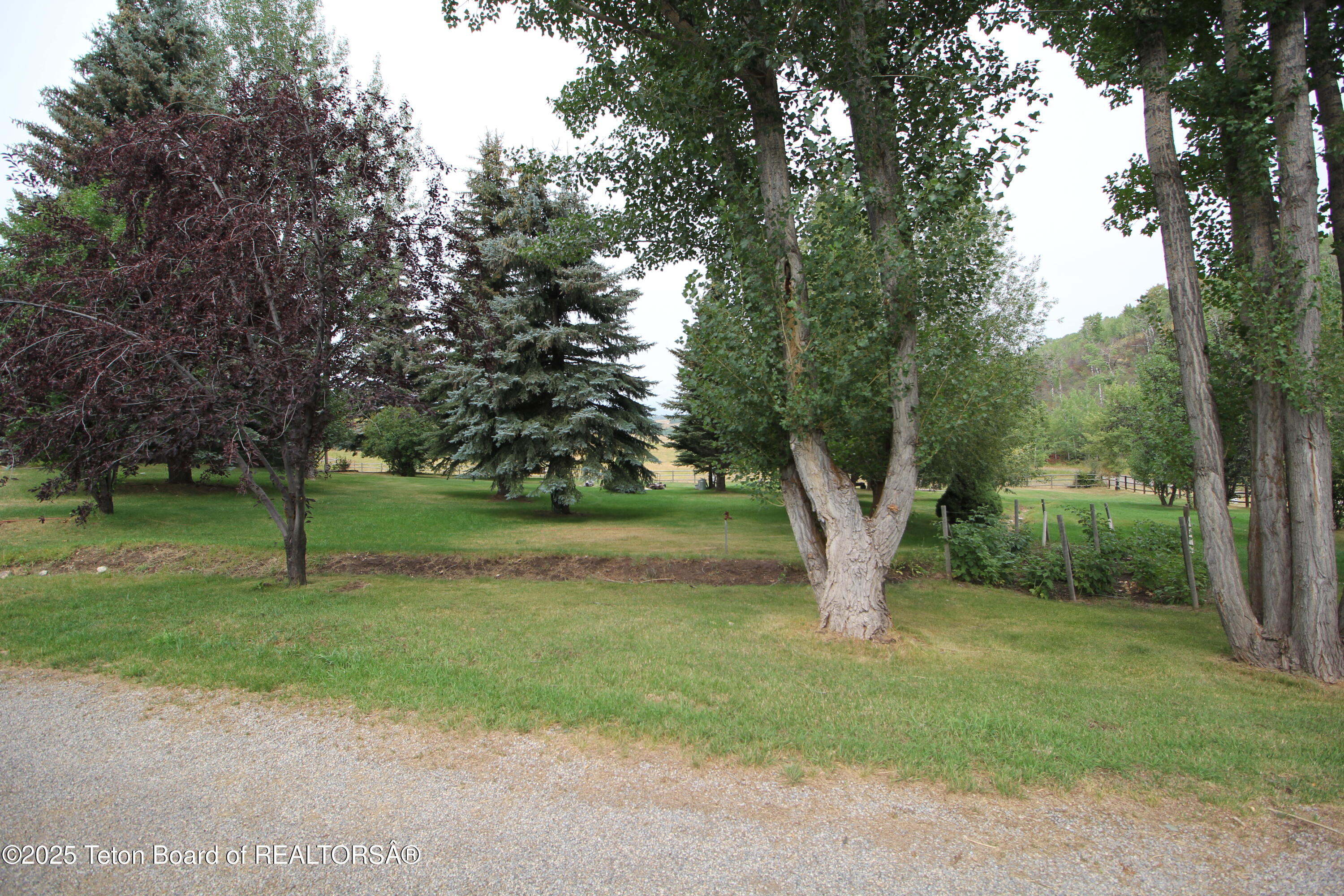 1534 Aspen Hollow Road Thayne, WY 83127 - Photo 44 of 61 IMG_7217