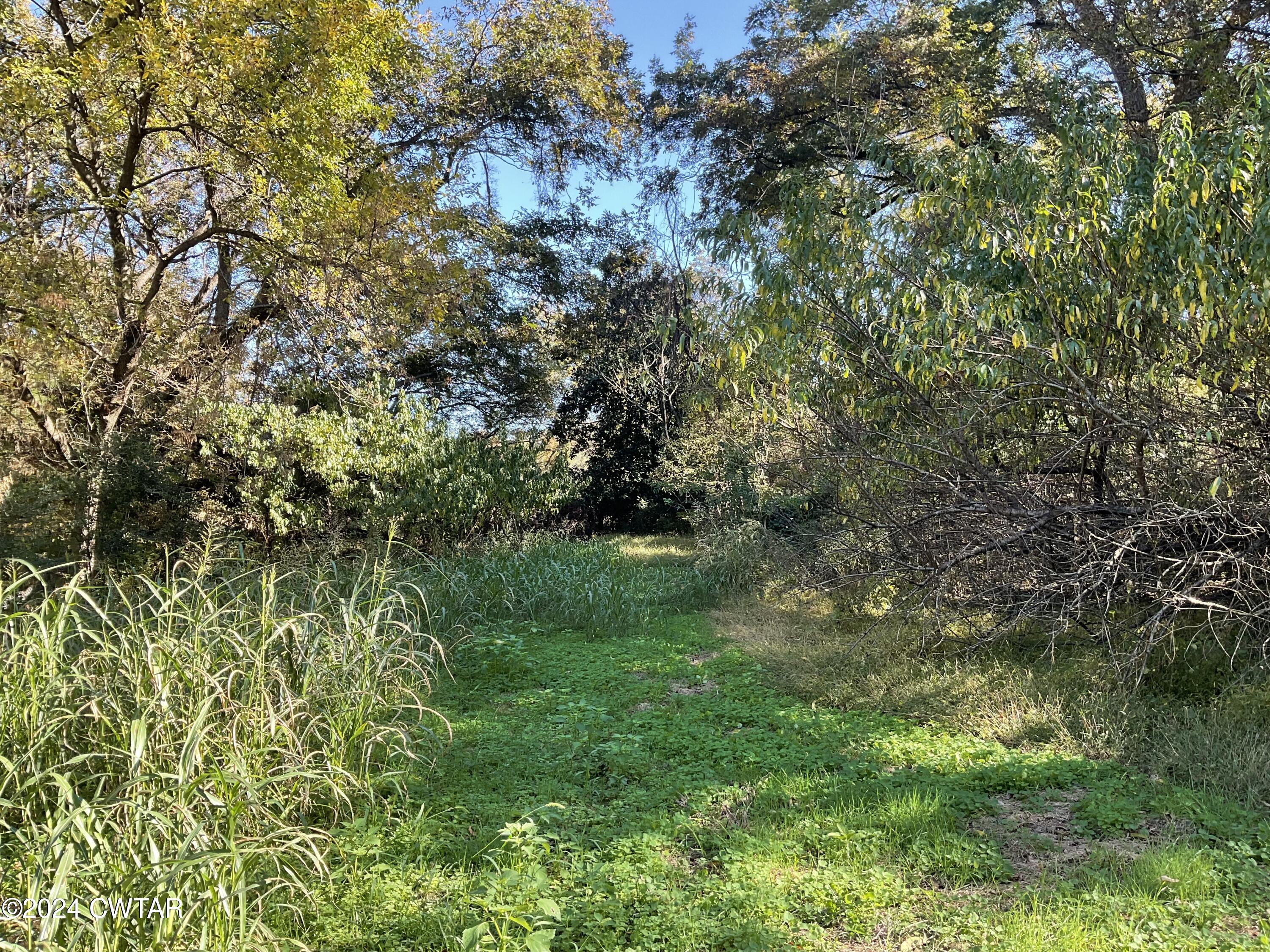 3250 Colvett Road Alamo, TN 38001 - Photo 2 of 8 a view of a yard