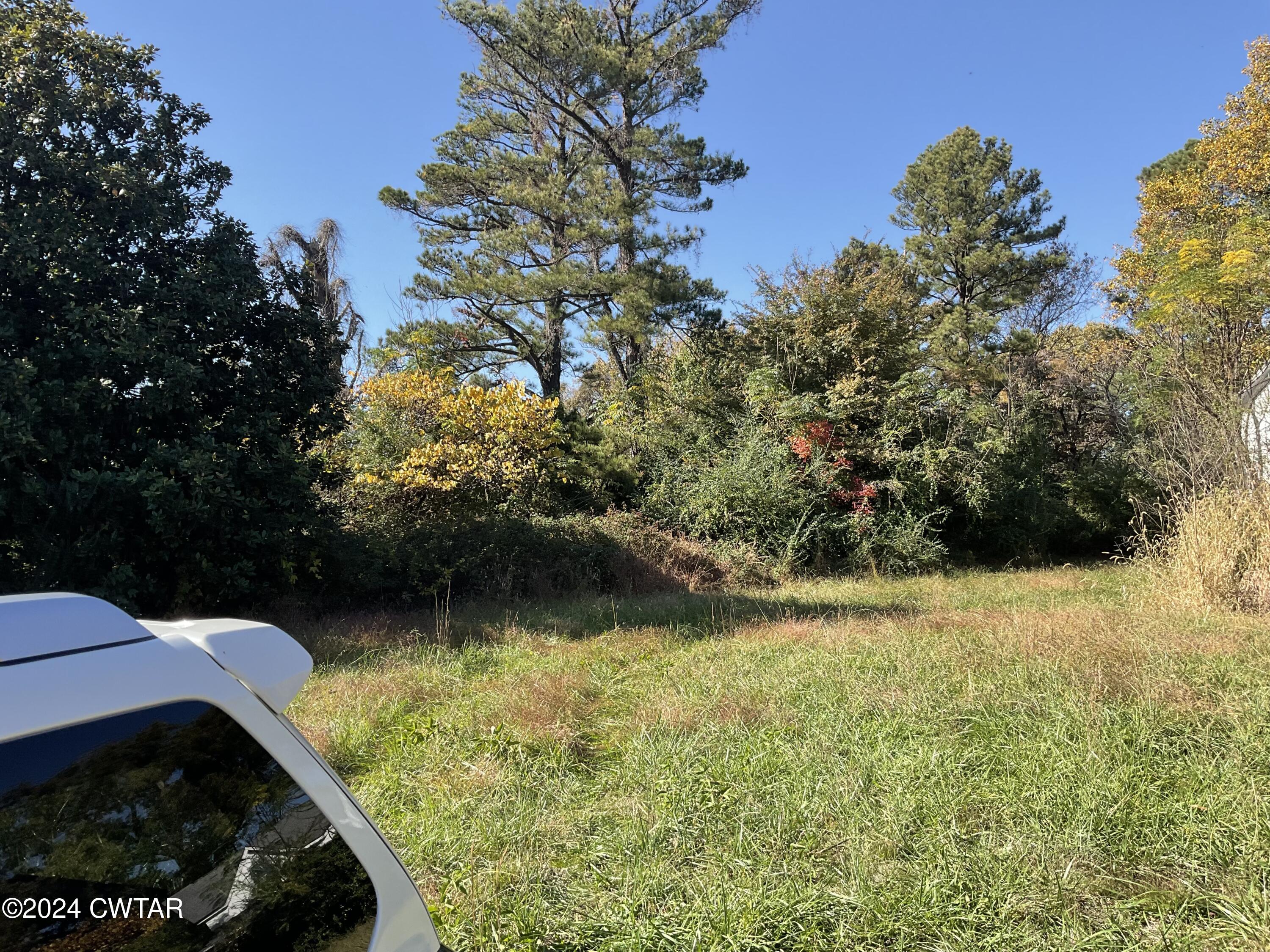 3250 Colvett Road Alamo, TN 38001 - Photo 4 of 8 a view of swimming pool from a lake view