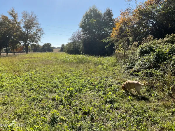 a backyard of a house with large trees