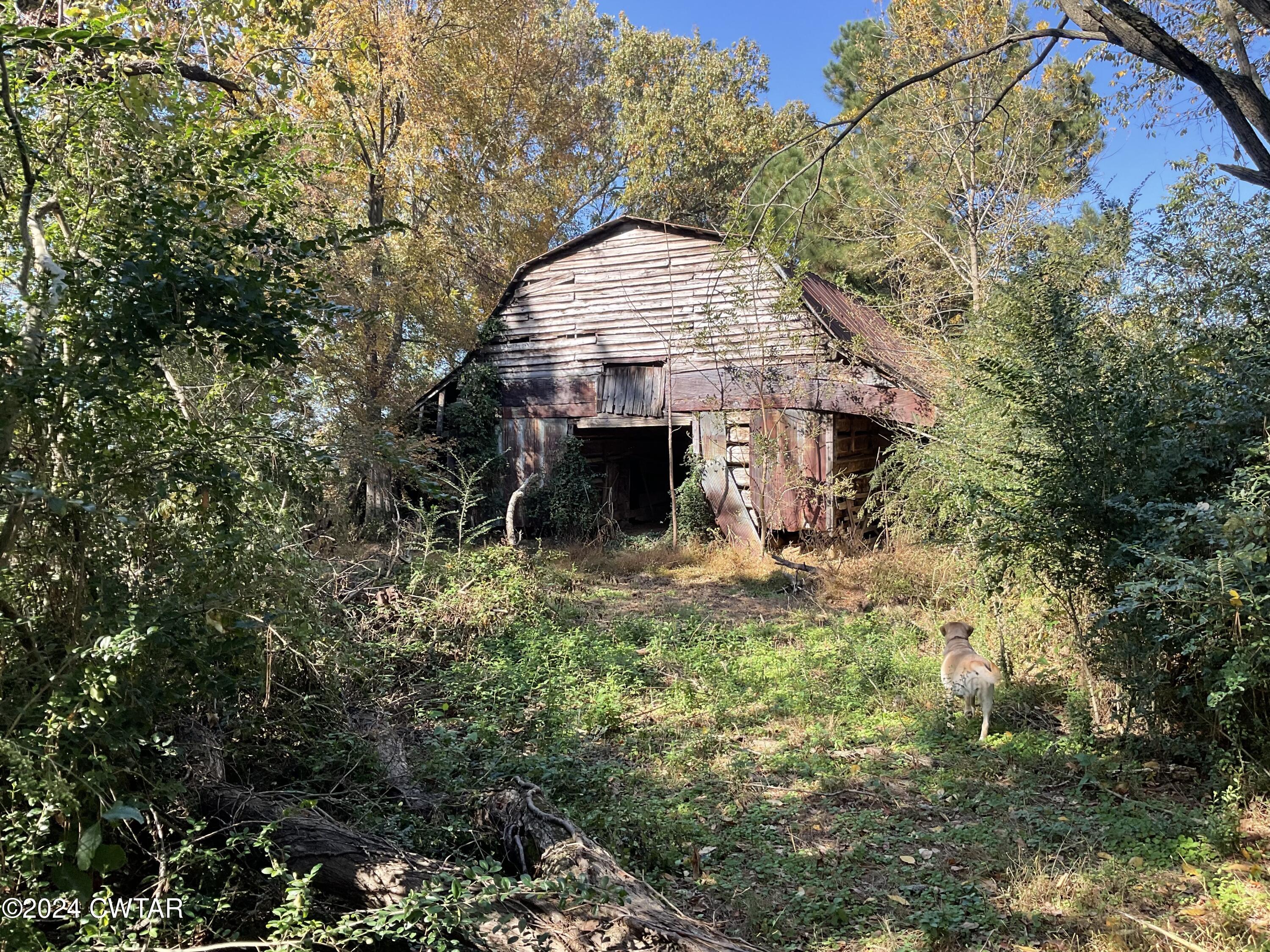 3250 Colvett Road Alamo, TN 38001 - Photo 8 of 8 a view of a house with a small yard and large trees
