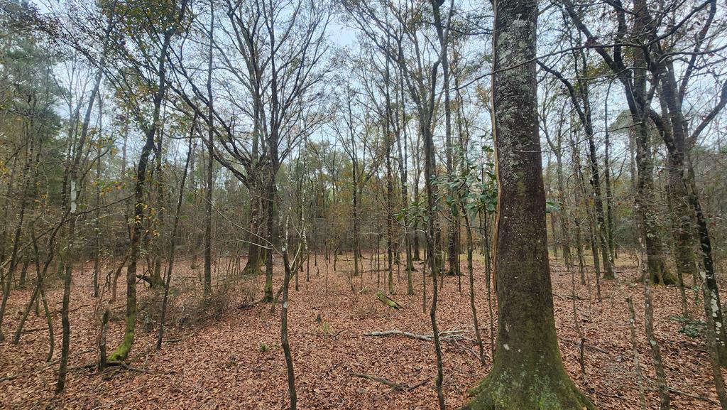 15.05 Pera Road Samson, AL 36477 - Photo 21 of 29