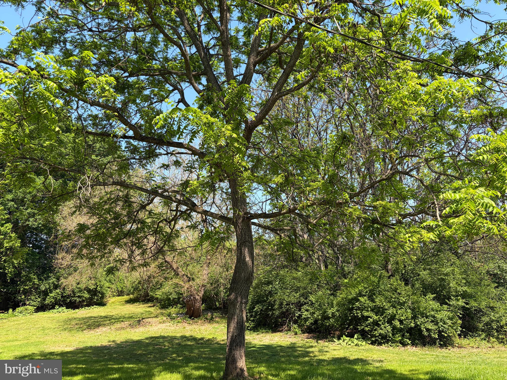 1801 Old Chapel Road Boyce, VA 22620 - Photo 20 of 31 A Picnic Here Would be Heavenly!