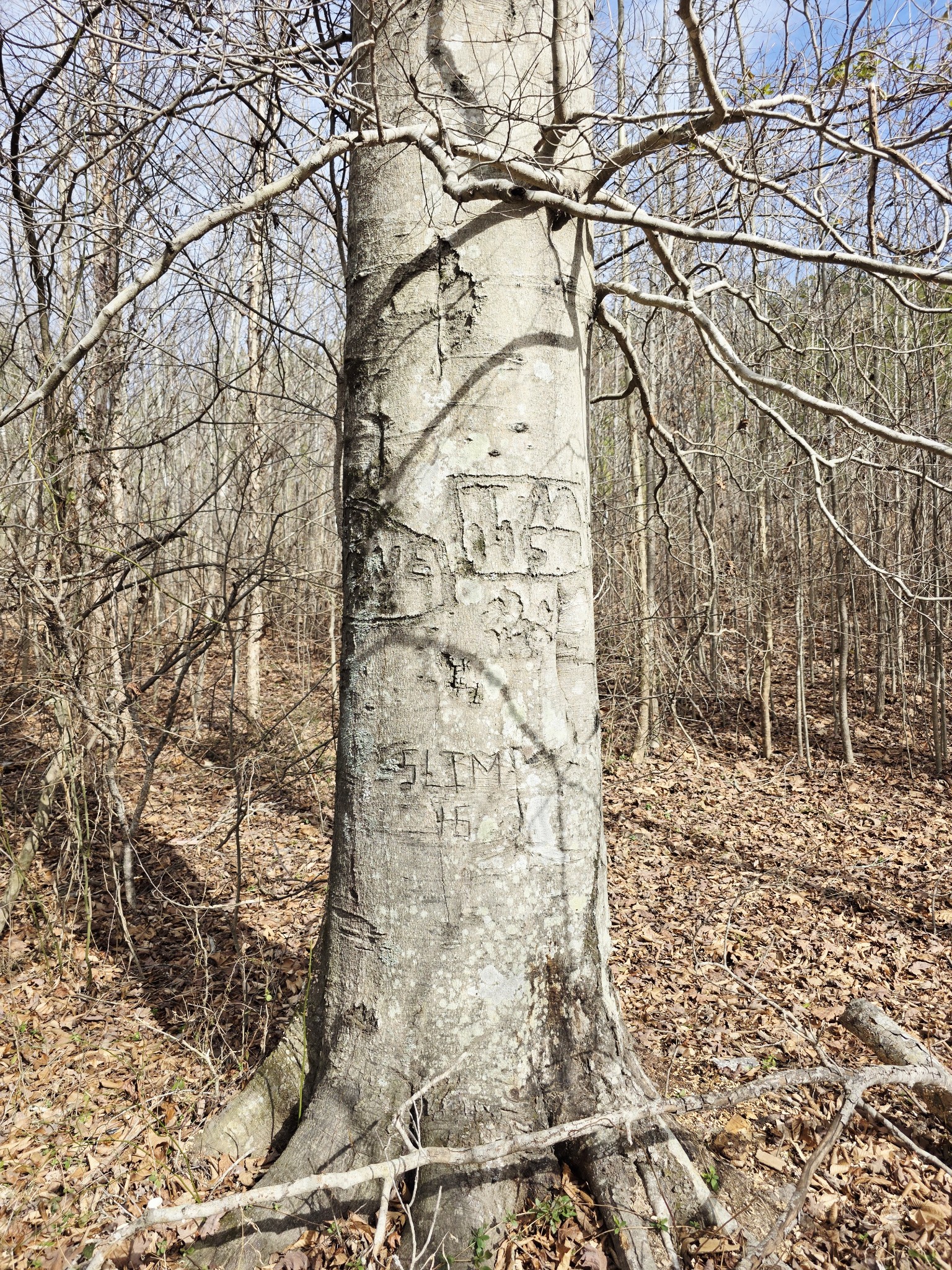 0 Birdsong Road Holladay, TN 38341 - Photo 20 of 70