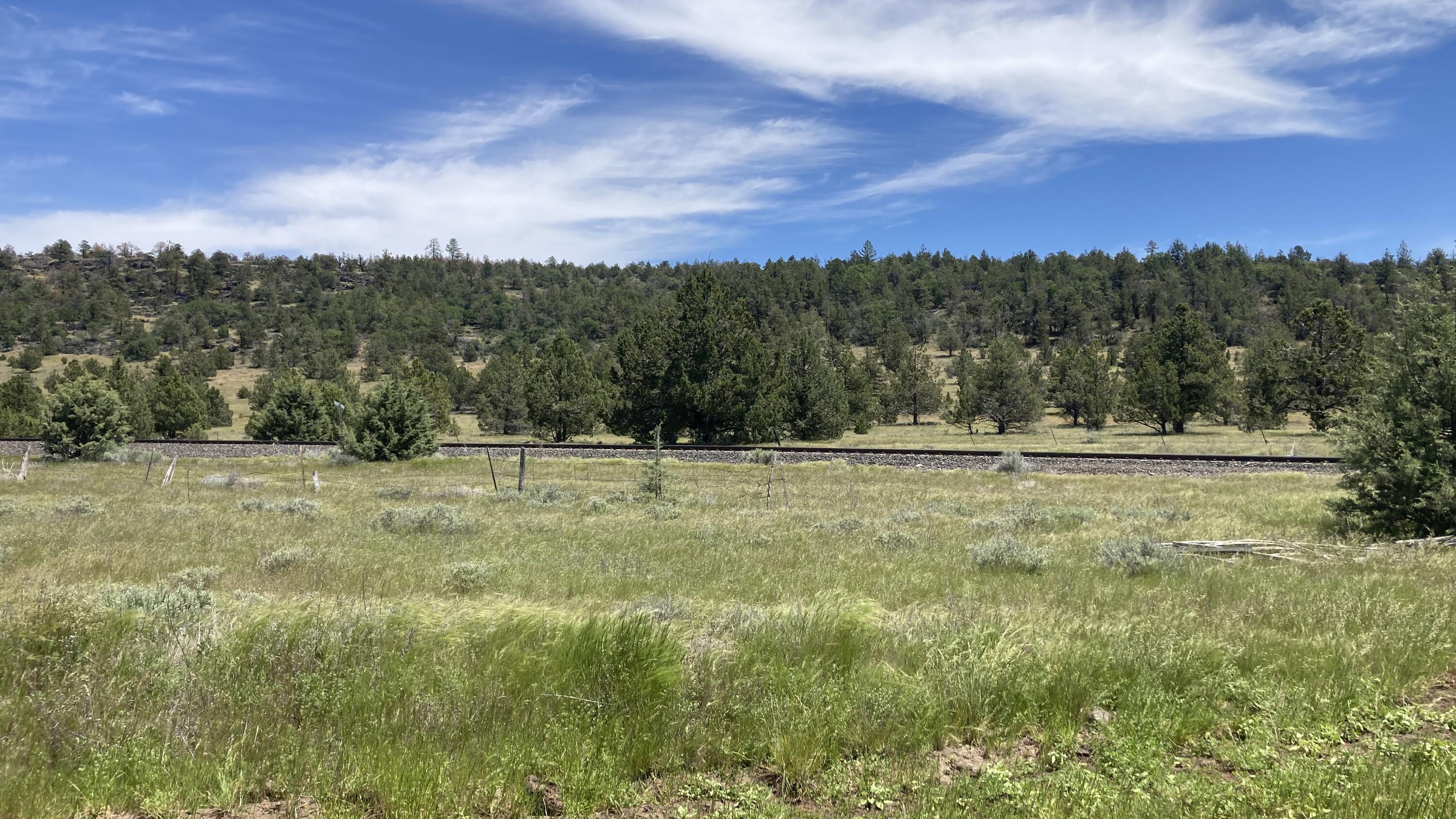 Nsa Loomis Cabin Road McArthur, CA 96056 - Photo 2 of 11 IMG_1698