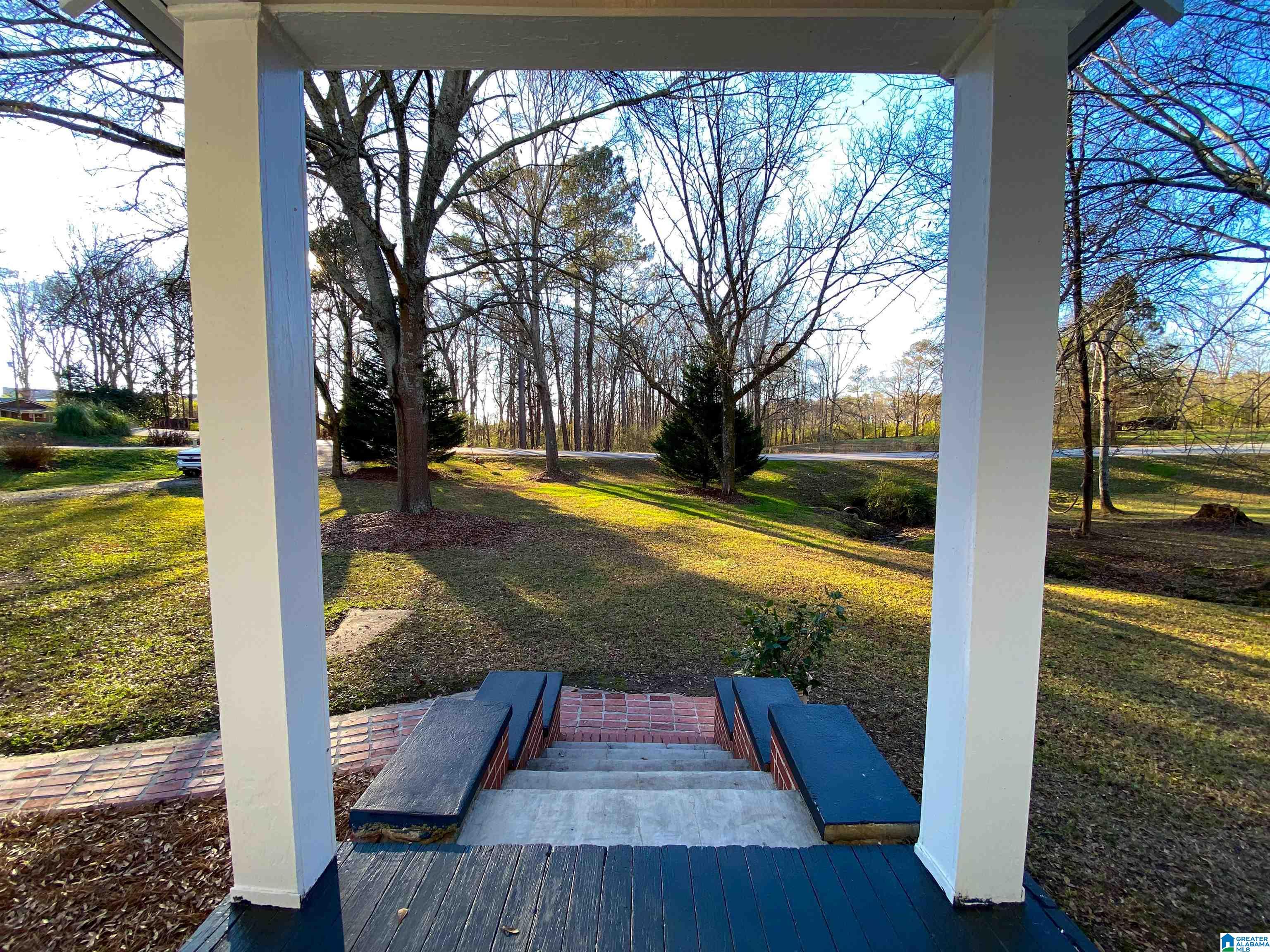 2858 Frank Ledbetter Memorial Drive Ranburne, AL 36273 - Photo 11 of 49