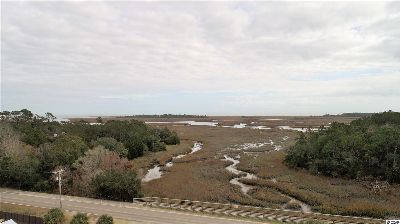 167 Pinnacle Drive Murrells Inlet, SC 29576 - Photo 36 of 36 Gallery Image 36