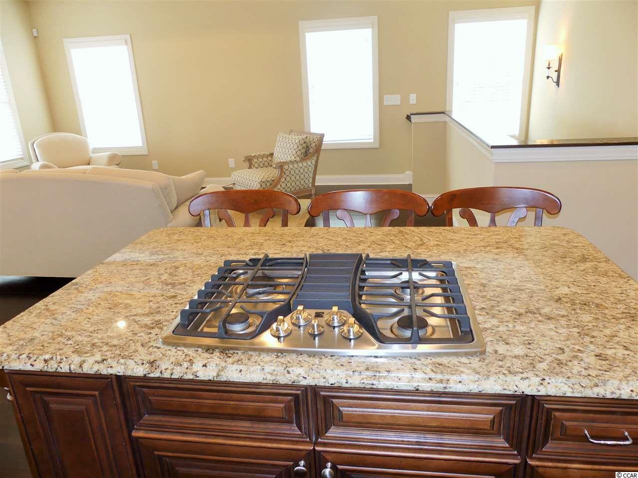 167 Pinnacle Drive Murrells Inlet, SC 29576 - Photo 7 of 36 Gallery Image 7