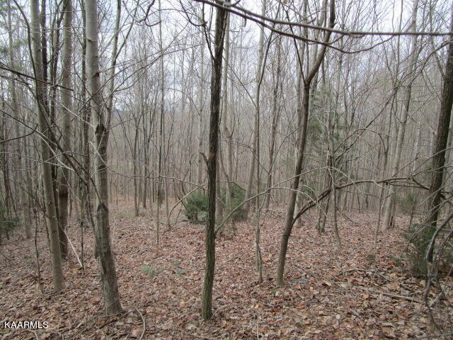 Deerridge Drive Rutledge, TN 37861 - Photo 3 of 4 IMG_3392