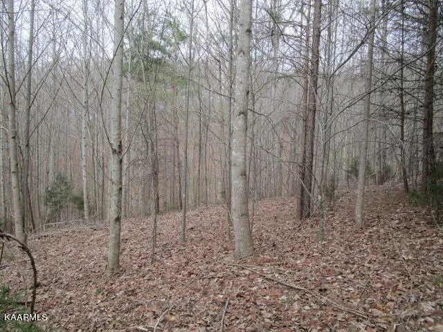 $39,900 | Deerridge Drive, Rutledge, TN 37861