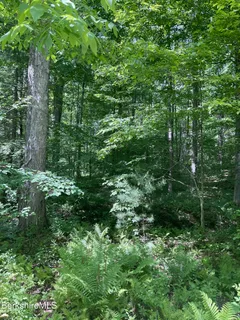 $795,000 | 0 Whites Hl Road, Great Barrington, MA 01230