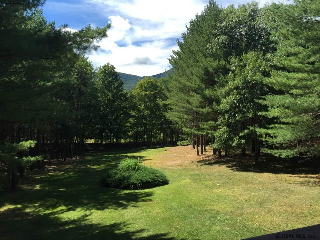 151 Hearts Content Road Cairo, NY 12473 - Photo 3 of 15 Photo 3
