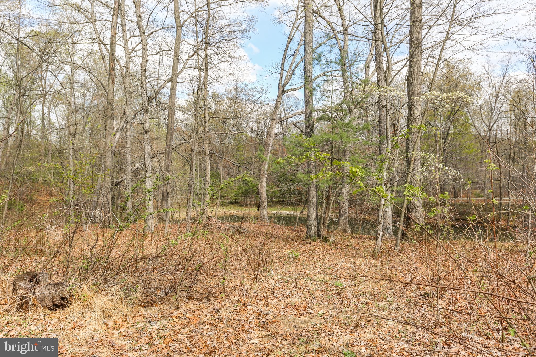 250 Red Tank Road Boiling Springs, PA 17007 - Photo 72 of 86 Gallery Image 72