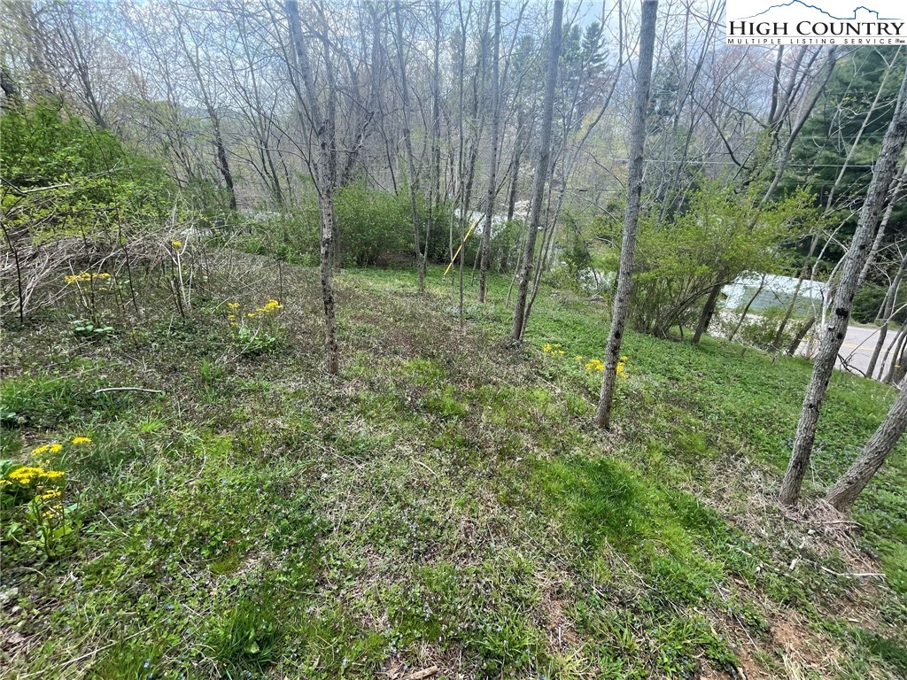 412 2/4 Junaluska Road Boone, NC 28607 - Photo 2 of 6 a view of a park