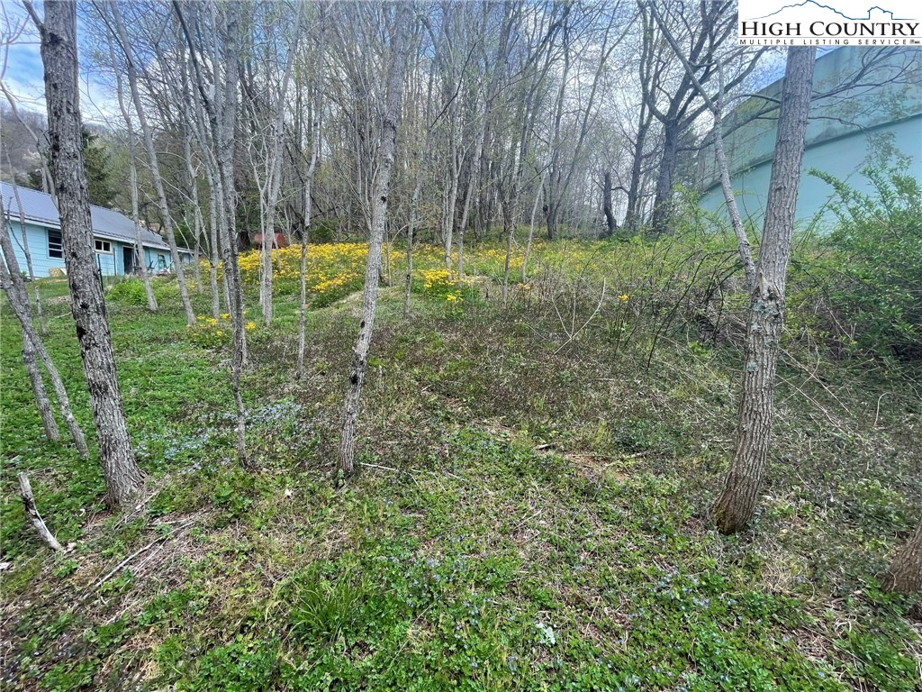 412 2/4 Junaluska Road Boone, NC 28607 - Photo 6 of 6 a view of backyard