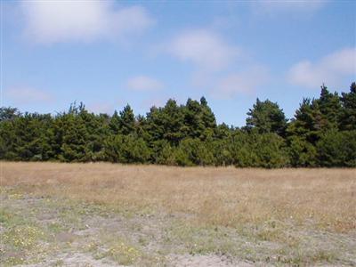 44240-front Biaggi Road Manchester, CA 95459 - Photo 3 of 5 a view of basketball area with trees in the background