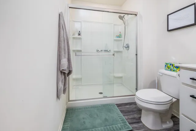 a bathroom with a shower and a toilet