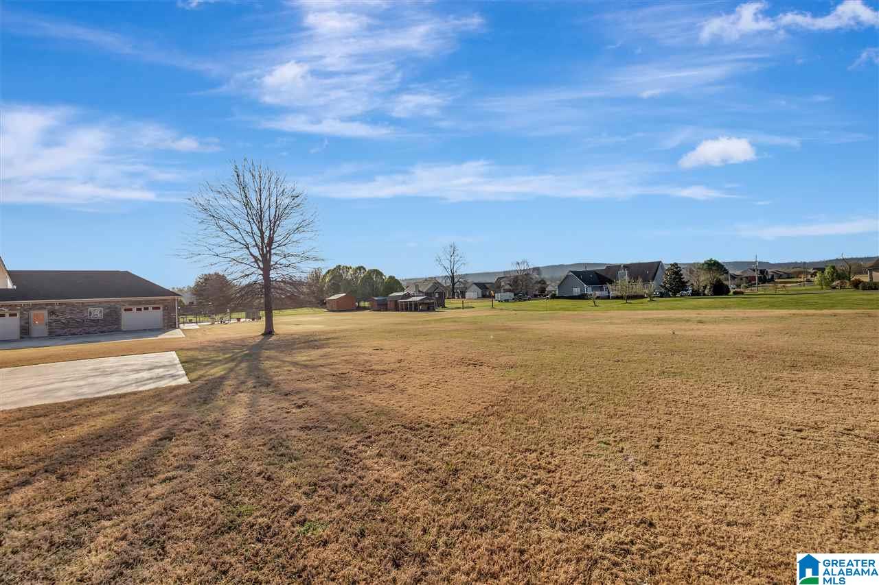 360 Coupland Road Odenville, AL 35120 - Photo 28 of 31