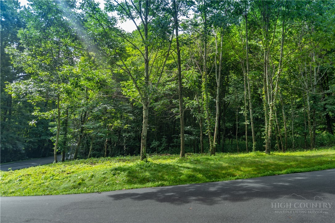 Lot 13 Hemlock Ridge Road Blowing Rock, NC 28605 - Photo 10 of 16 Gallery Image 10