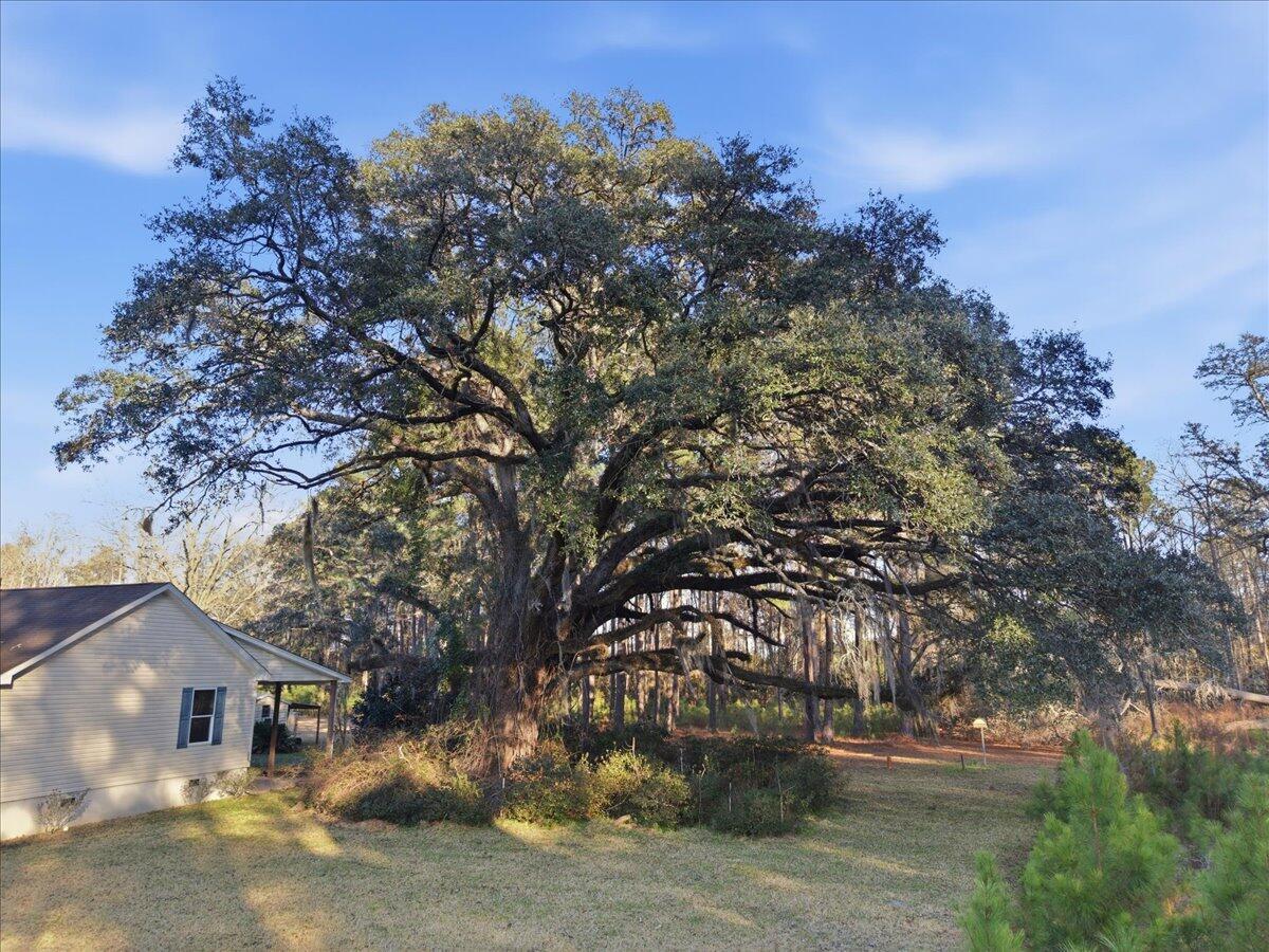 1613 Cavanaugh Road Walterboro, SC 29488 - Photo 36 of 37 IMG_0034