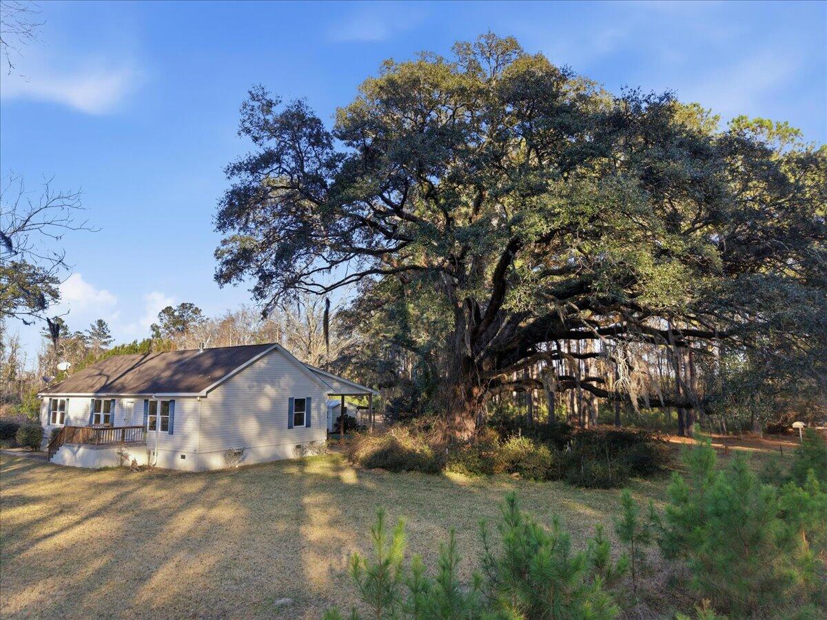 1613 Cavanaugh Road Walterboro, SC 29488 - Photo 4 of 37 IMG_0030
