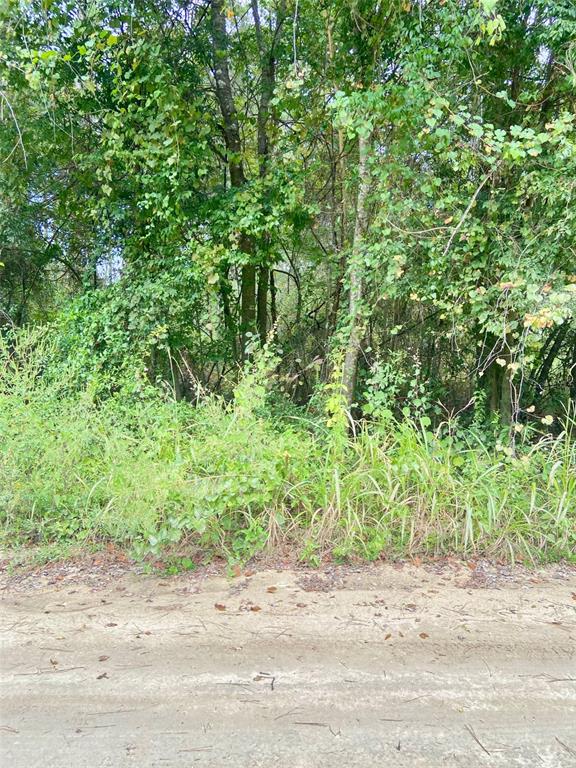 0 Southwest 8th Place Southwest Dunnellon, FL 34432 - Photo 1 of 4 a view of a yard and a trees