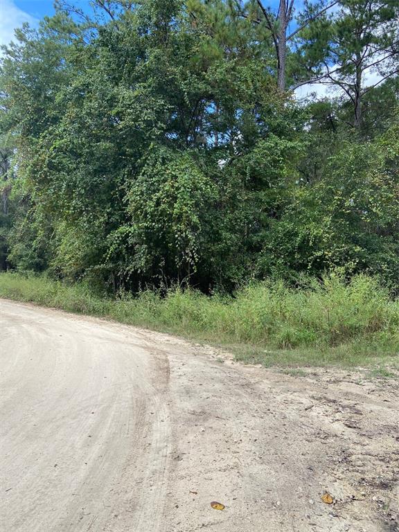 0 Southwest 8th Place Southwest Dunnellon, FL 34432 - Photo 2 of 4 a view of a yard with a tree
