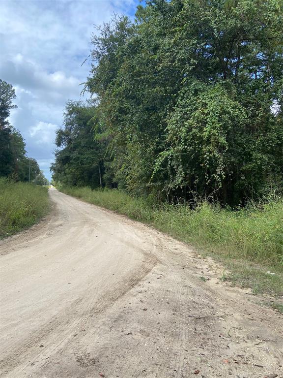 0 Southwest 8th Place Southwest Dunnellon, FL 34432 - Photo 3 of 4 a view of a dirt road with trees