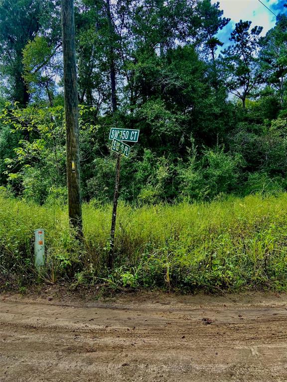 0 Southwest 8th Place Southwest Dunnellon, FL 34432 - Photo 4 of 4 a view of a garden