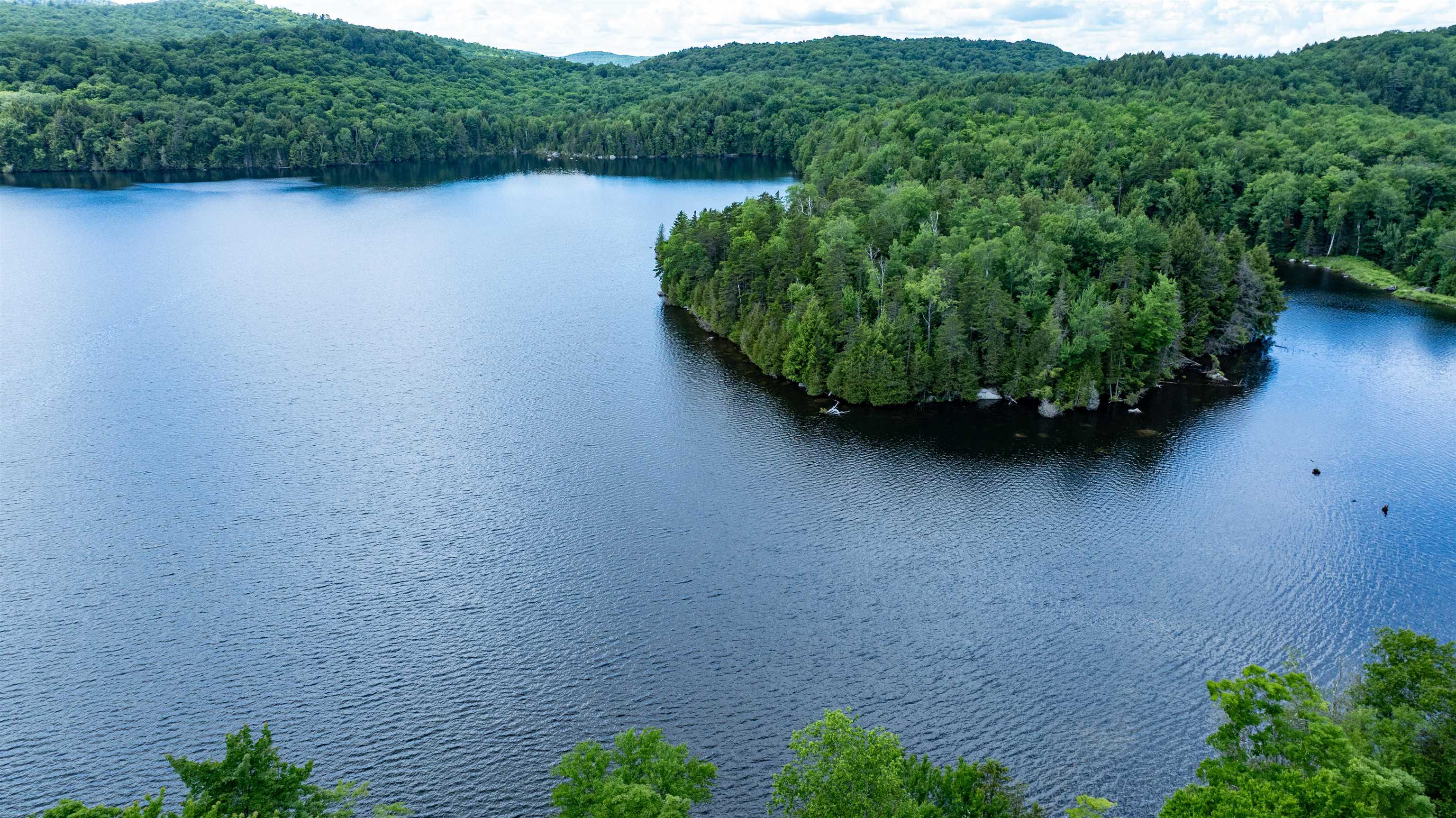 258 Loon Lake Road Woodbury, VT 05647 - Photo 8 of 34